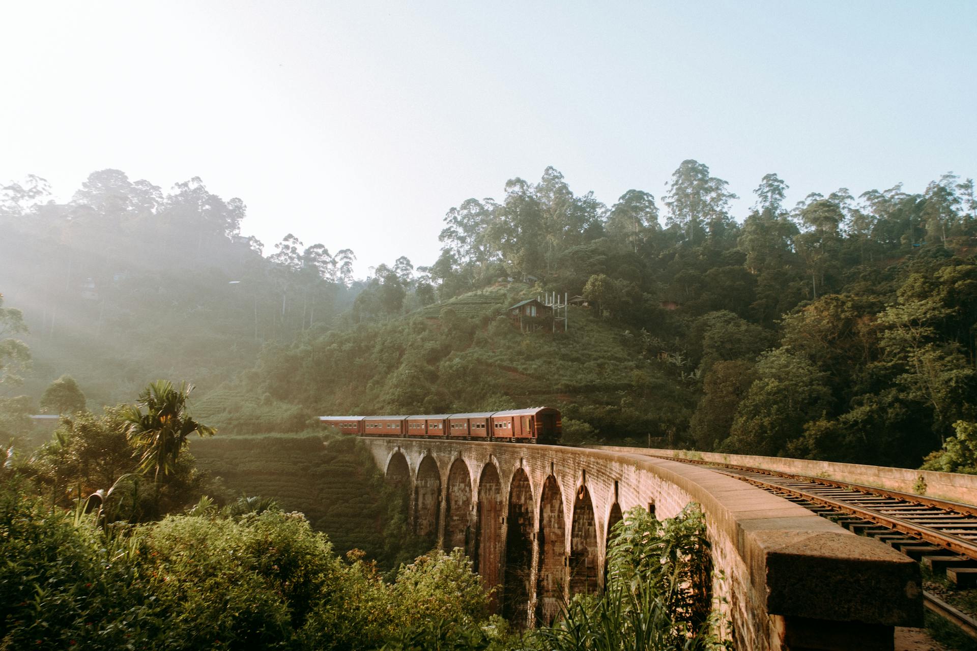 Beautiful view of Sri Lankan tea plantations and mountains